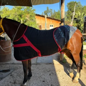 Carpa Americana de mezclilla con frazada color azul – vista lateral completa en caballo
