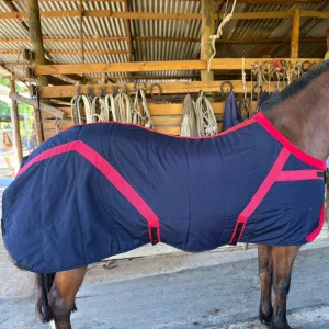 Carpa de lona azul con interior de frazada puesta en caballo - El Carpincho