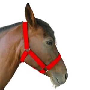 Jáquima de nylon roja para caballo – El Carpincho